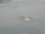 127-Turbo Prop Statue of Liberty