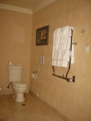 092-Toilet_and_Towel_Warmer.jpg